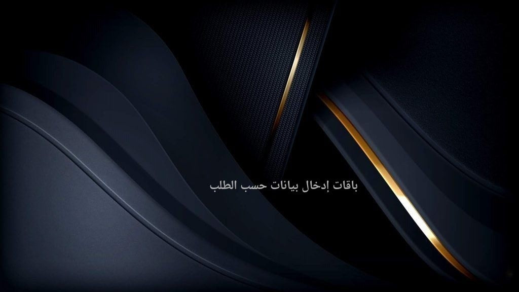 باقات إدخال بيانات حسب الطلب